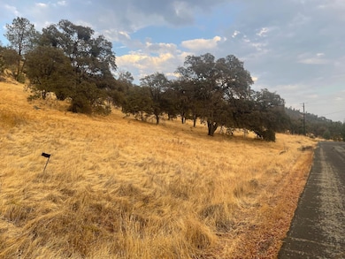 0 Castillo Way unit 225125624, La Grange, CA 95329 - photo 3