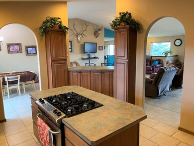 Island Gas Range