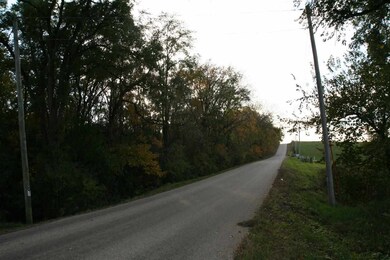 Lot 2 Mortensen Rd, Brooklyn, WI 53521 - photo 5