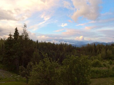 View from family room