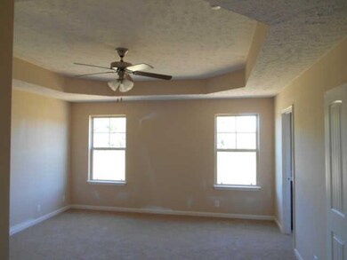 owner suite with trey ceiling