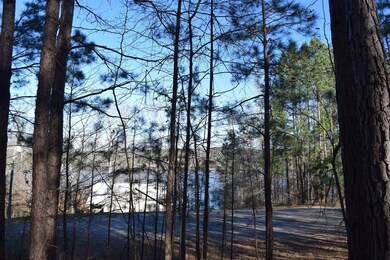 Lake View from up in lot