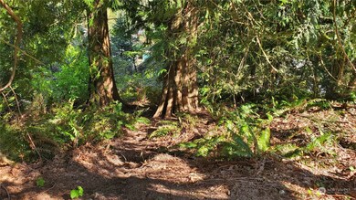 750 West Rd, Sedro Woolley, WA 98284 - photo 6