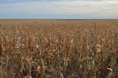 County Road V, Kit Carson, CO 80825 - photo 3