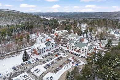 11 Timberwood Dr unit 402, Goffstown, NH 03045 - photo 2