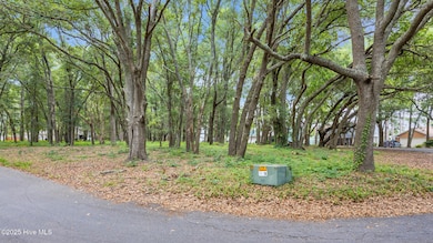 1900 Egret St SW, Shallotte, NC 28470 - photo 6