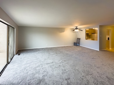 3900 W 95th St unit 204, Evergreen Park, IL 60805 - photo 3