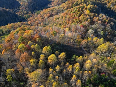 0 Rock Springs Rd unit RTC3049749, Celina, TN 38551 - photo 2