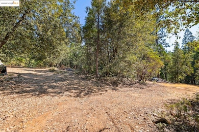 unlisted-address, Twain Harte, CA 95383 - photo 4