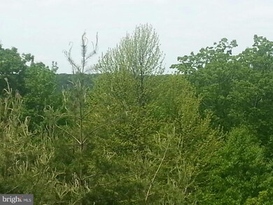 0 Lions Ln unit 1003532114, Boyce, VA 22620 - photo 4