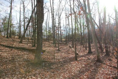 0 Supinlick Ridge Rd unit LotWP002, Mount Jackson, VA 22842 - photo 2