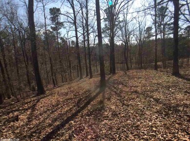 0 Greene 623 Rd unit 17007047, Paragould, AR 72450 - photo 4