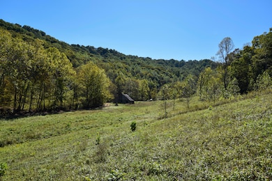 0 E Esculapis Fork Rd unit 25018893, Vanceburg, KY 41179 - photo 7