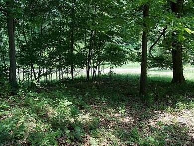 0 Sugar Grove Rd unit 213018656, Sugar Grove, OH 43155 - photo 2