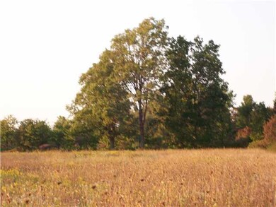 Land. Clay Street open and wooded area.