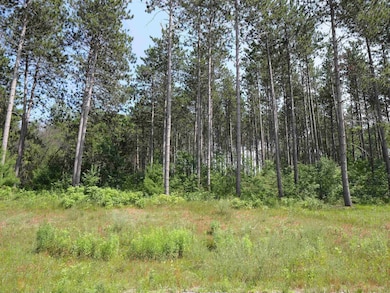 Lot 6 Two Sisters Ct, Stevens Point, WI 54482 - photo 3