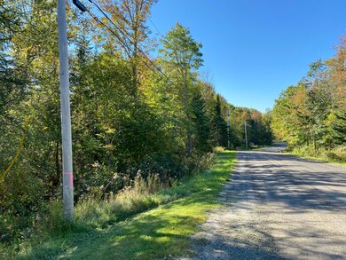 Ledge Road - Lot Begins at Flagged Pole