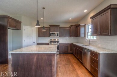 104 Dode, Downs, IL 61736 - photo 7