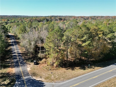 0 Highway 82 N, Eufaula, AL 36027 - photo 7