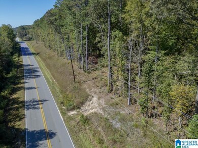 15874 County Highway 26, Blountsville, AL 35031 - photo 4