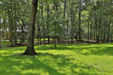 36832 Meadow Creek Ct, Magnolia, TX 77355 - photo 3