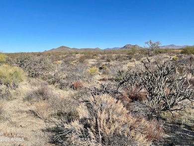 27003 N 134th St, Scottsdale, AZ 85259 - photo 5