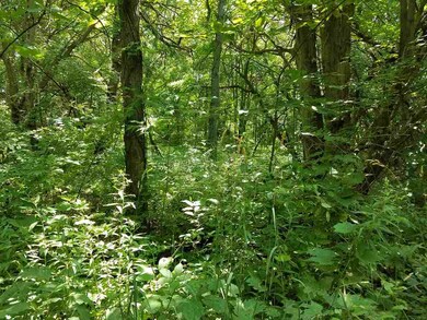 Wooded lake access lot.