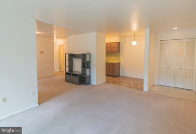 2305 Greenery Ln unit 1013, Silver Spring, MD 20906 - photo 5