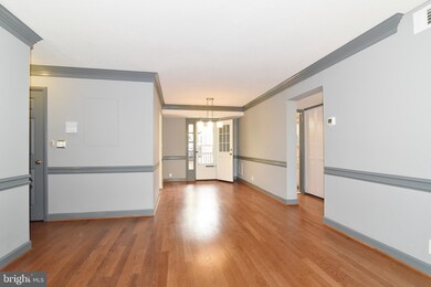 3043 S Columbus St unit B2, Arlington, VA 22206 - photo 5
