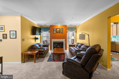 4650 Alcott Way unit 203, Owings Mills, MD 21117 - photo 6