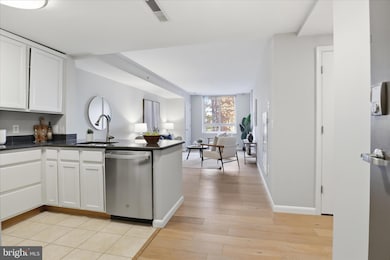 355 I St SW unit S311, Washington, DC 20024 - photo 5