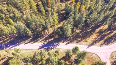 21 Lucky Ln, Columbia Falls, MT 59912 - photo 4