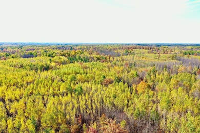 NA Na, Skelton Township, MN 55707 - photo 5