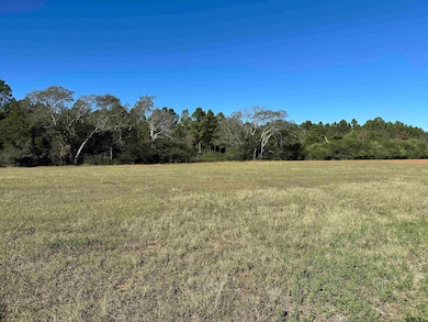 13B  / TBD Old Spanish Trial Dr, Alto, TX 75925 - photo 4