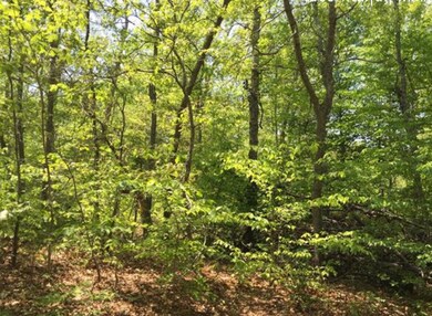 29 Bea Ln, West Tisbury, MA 02575 - photo 6