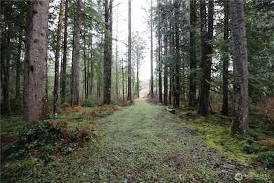 0 364th Ave SE, Maple Valley, WA 98038 - photo 3