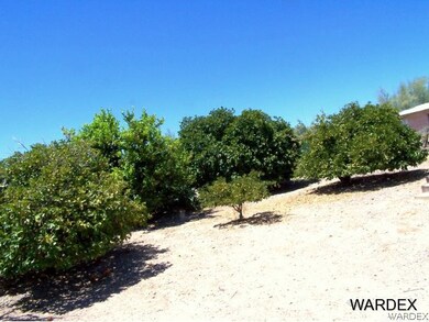 Citrus Grove