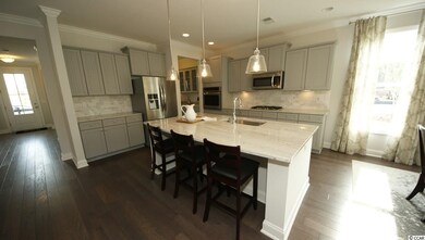 1645 Parish Way unit Lot 242 Harbor Oak C, Myrtle Beach, SC 29577 - photo 4