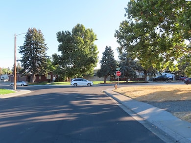 1003 Elm Ave, Richland, WA 99354 - photo 3