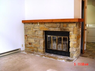 167 Harbor Heights Blvd, Bigfork, MT 59911 - photo 5