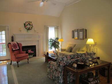 Living Room with Gas Fireplace