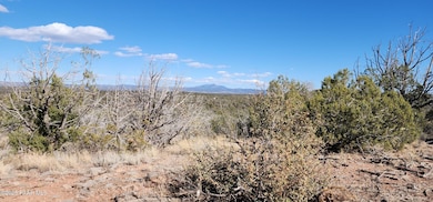 Lot 50 Scorpion, Ash Fork, AZ 86320 - photo 5