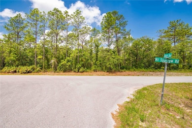 0 Mount Sparrow Rd unit MFRTB8388991, Weeki Wachee, FL 34614 - photo 6