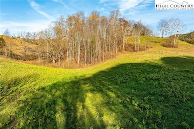 18 Silver Oak Trail, Butler, TN 37640 - photo 2