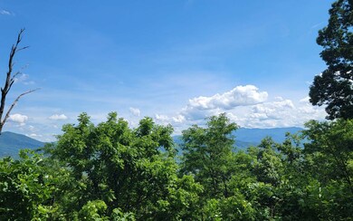 Additional View