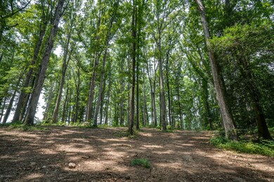 0 Lakeview Rd, Toisnot, NC 27822 - photo 3