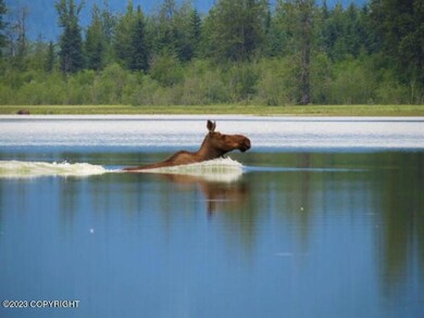 4 Moose in the lake