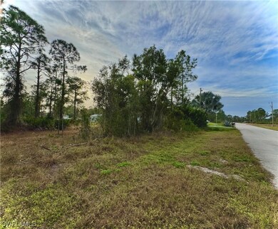 829 Downer Ave S, Lehigh Acres, FL 33974 - photo 2