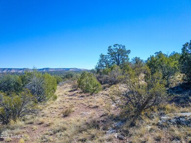 Drone View 1