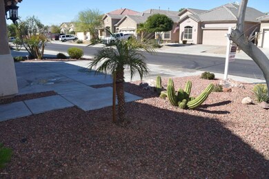 Landscaped Front Yard